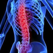 New Jersey spine injury lawyer